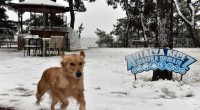 Antalyalı kar sevincini Kepez’de yaşadı