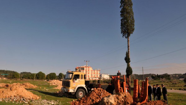 Kepez’de ağaçlar kesilmedi taşındı 