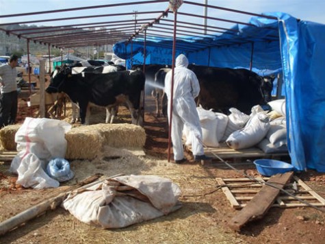 Kepez’de Kurban Kesim ve Satış Yerleri Belirlendi