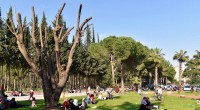 Antalya\'nın Central Park\'ı Dokuma