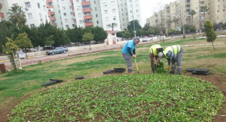 Kepez kendi çiçeğini yetiştiriyor