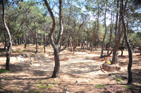 Park Orman’da heyecana az kaldı