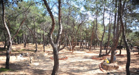 Park Orman’da heyecana az kaldı