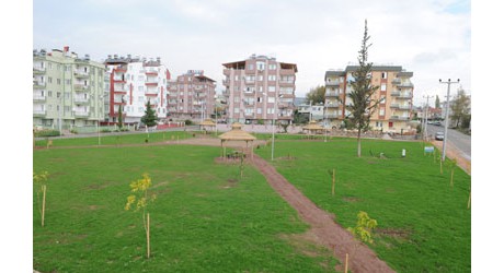 Ünsala çınarlı park
