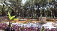 Park Orman turizmin gözdesi olacak