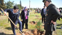 Tütüncü şehit aileleriyle birlikte fidan dikti