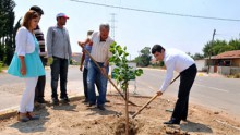 Tütüncü Beşkonaklılar Mahallesini elleriyle güzelleştiriyor