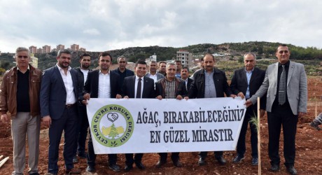 Kepez’den fıstık gibi ağaçlandırma