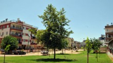 Teomanpaşaya 4. park