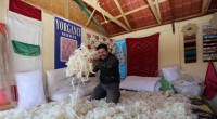 Anadolu Çocuk Köyü Şenliği coşkuyla sürüyor