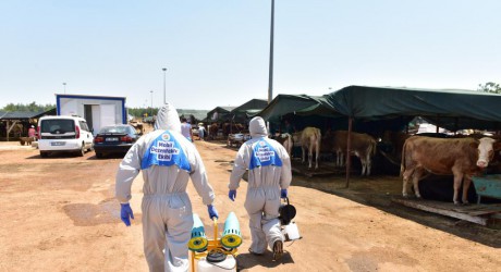 Kepez’in kurban pazarları dezenfekte edildi