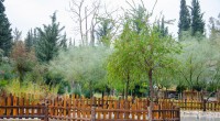 Kepez’in ‘Botanik Bahçesi’ kapılarını açıyor