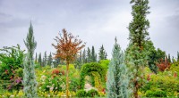 Kepez’in ‘Botanik Bahçesi’ kapılarını açıyor