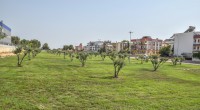 Altınova’ya 12 bin m2’lik yeşil vadi