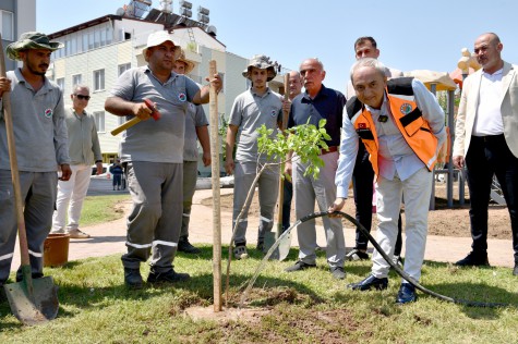 Yenilenen parka ilk ağaç fidanı Kocagöz’den