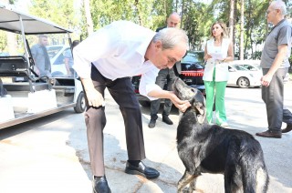 ‘Köpek yakıldı’ iddialarına Başkan Kocagöz son noktayı koydu: