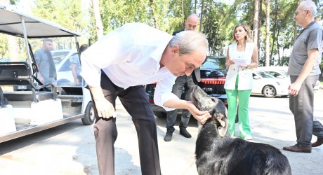 ‘Köpek yakıldı’ iddialarına Başkan Kocagöz son noktayı koydu: