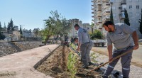 Güneş’e yemyeşil bir yaşam bahçesi