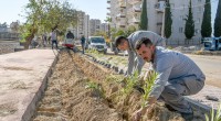 Güneş’e yemyeşil bir yaşam bahçesi