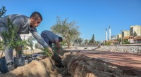 Güneş’e yemyeşil bir yaşam bahçesi