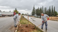 Kepez tarihi mirasıyla yeşilleniyor