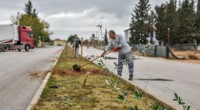 Kepez tarihi mirasıyla yeşilleniyor