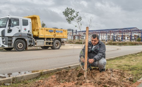 Kepez tarihi mirasıyla yeşilleniyor