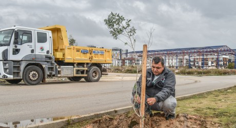 Kepez tarihi mirasıyla yeşilleniyor