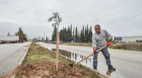 Kepez tarihi mirasıyla yeşilleniyor