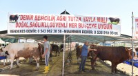 Kepez’de kurban pazarı 2 noktada hizmette