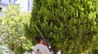 Kepez’in Mevlana Parkı yenilendi
