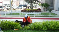 Kepez’den yeşil alanlara özenli dokunuş
