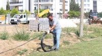 Kepez’den yeşil alanlara özenli dokunuş