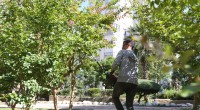 Kepez’den yeşil alanlara özenli dokunuş