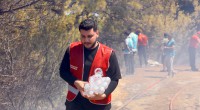 Kepez Belediyesi’nden Aksu ve Muratpaşa’daki yangınlara destek