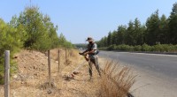 Kepez, orman yangınlarına karşı teyakkuzda
