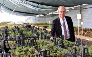 Kepez’den kurakçıl peyzaj hamlesi