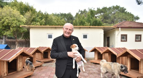 Kepez’de sokak hayvanlarına sıcacık yuvalar