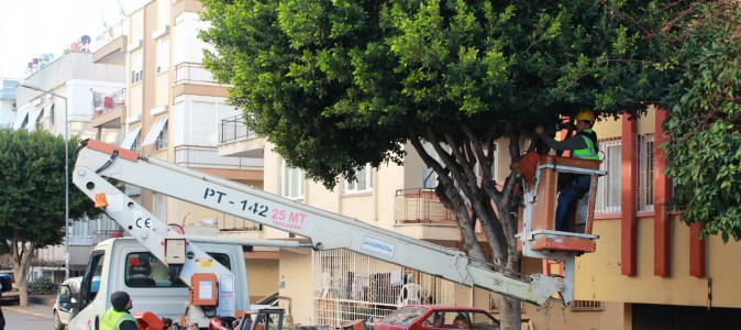Kepez’de ağaç budama çalışmaları ilçe genelinde sürüyor