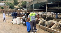 Kepez’de kurban satış ve kesim yerleri denetim altında