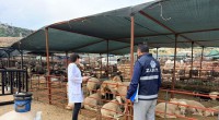 Kepez’de kurban satış ve kesim yerleri denetim altında