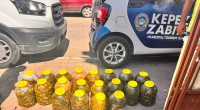 Kepez’de gıda deposuna denetim:  152 kilo et ve 20 bidon turşuya el konuldu  