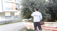 Kepez’in yeşil alanları titizlikle korunuyor