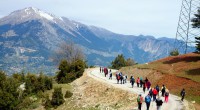 Kepez Antalyalıları Şakayık’la buluşturdu