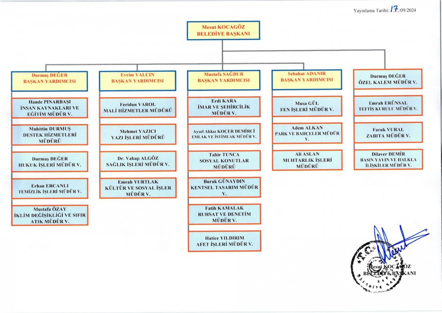 Organizasyon Şeması