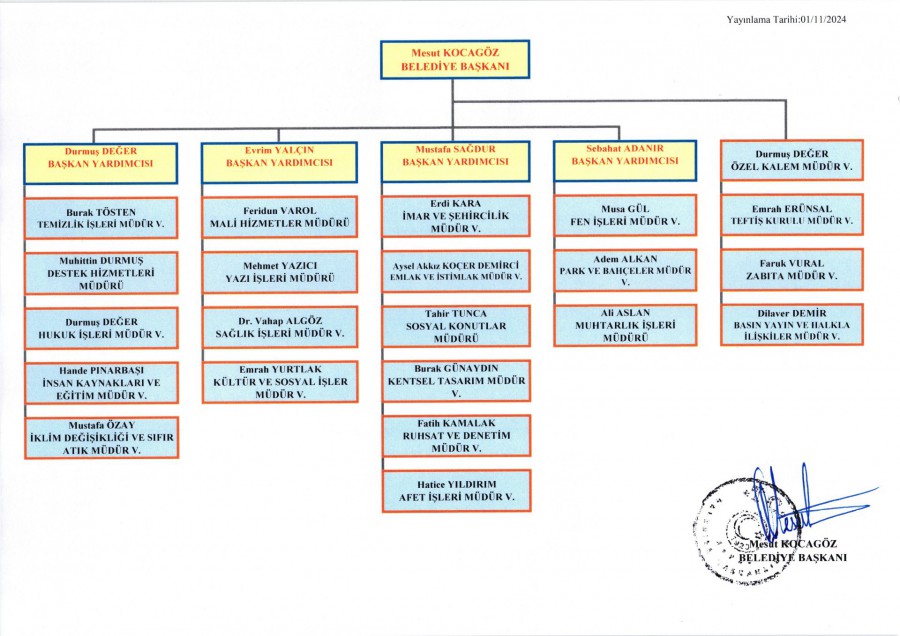 Organizasyon Şeması