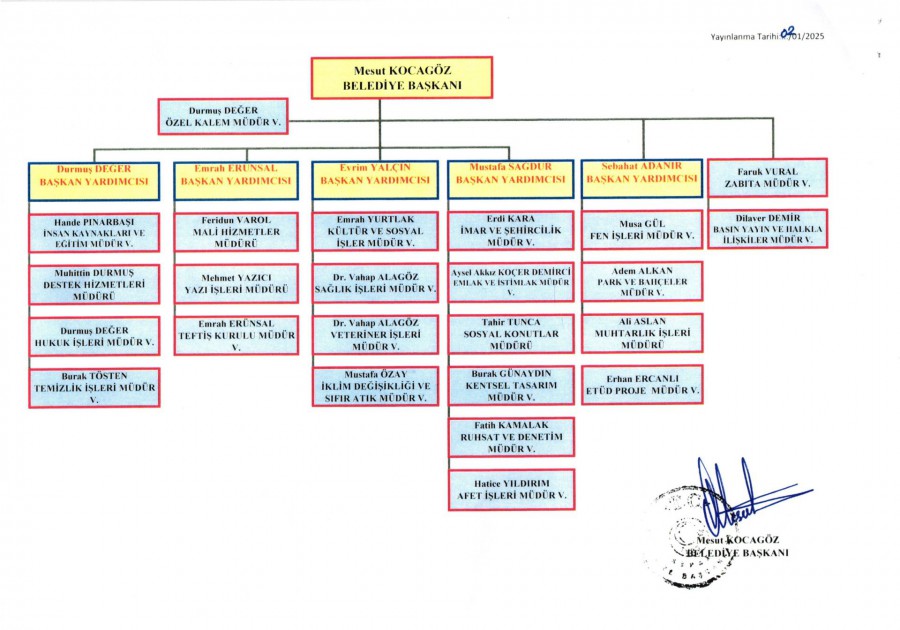 Organizasyon Şeması