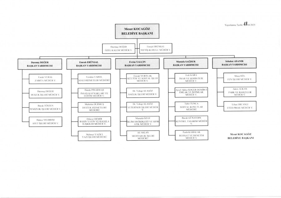 Organizasyon Şeması