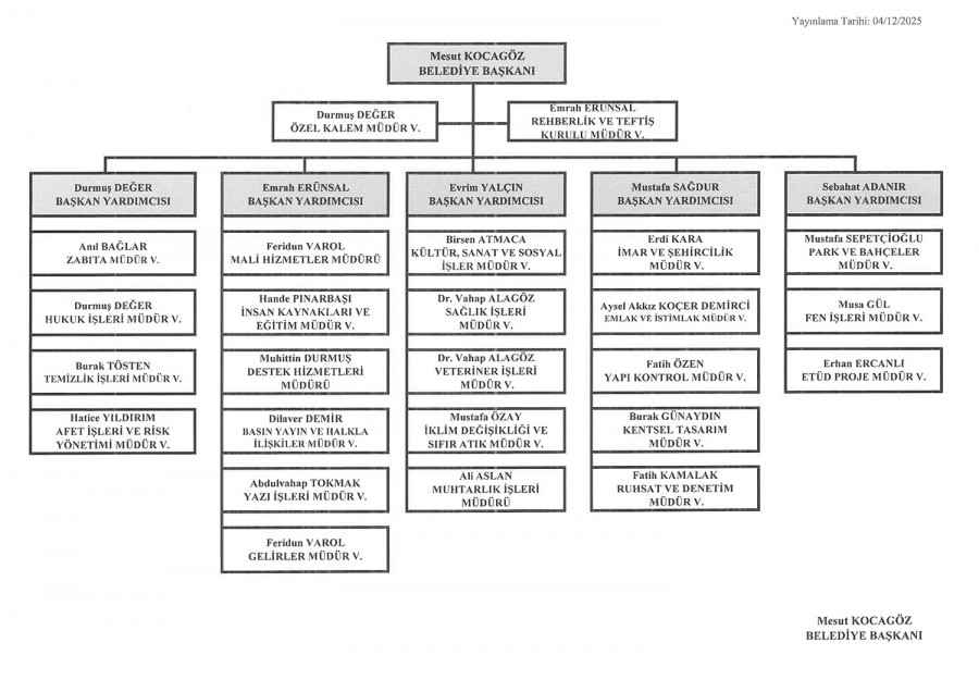 Organizasyon Şeması