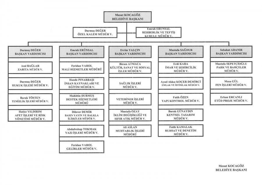 Organizasyon Şeması